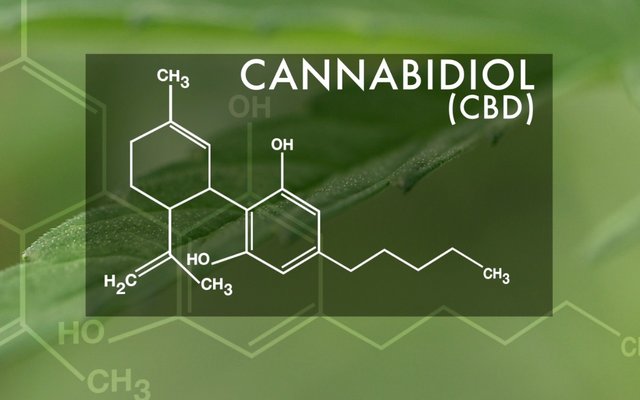 cbd-oil-for-epilepsy